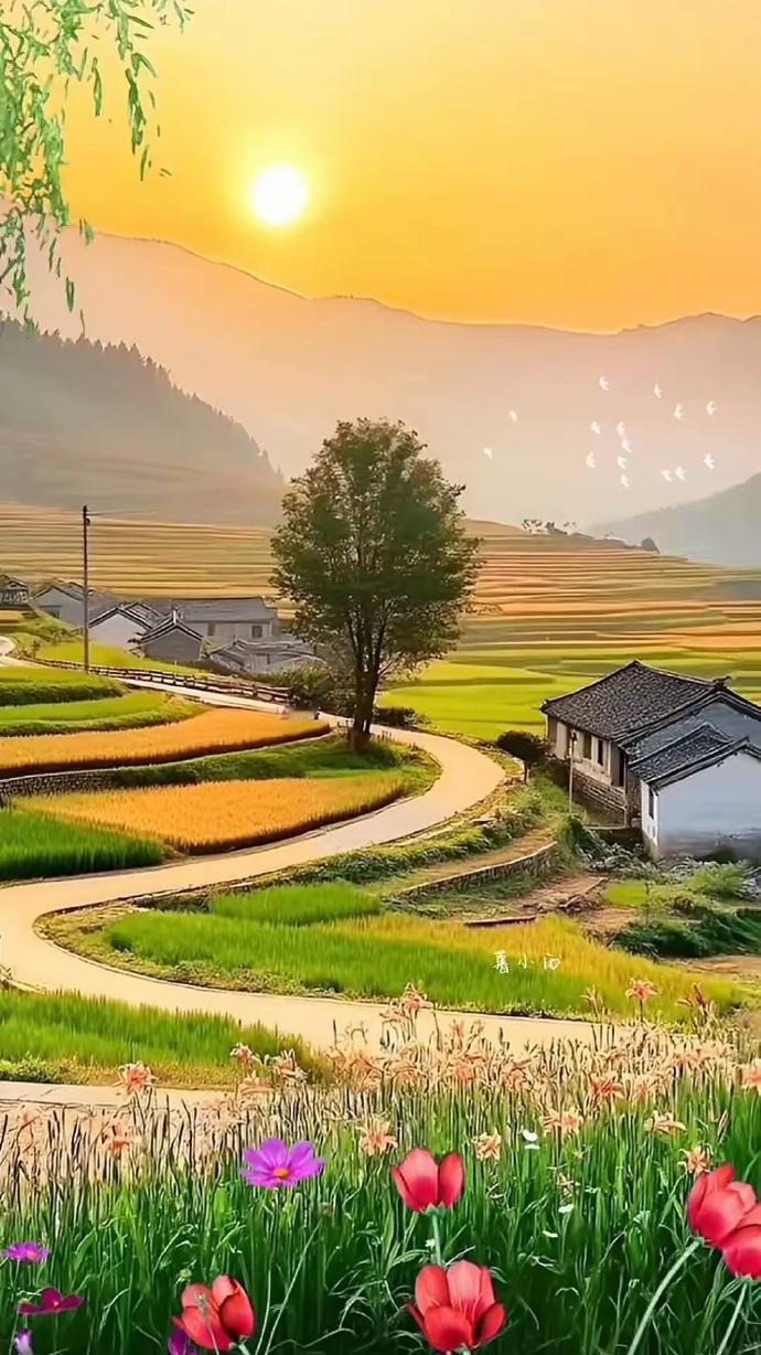 夕阳西下，炊烟袅袅，乡间景致如画。​​​