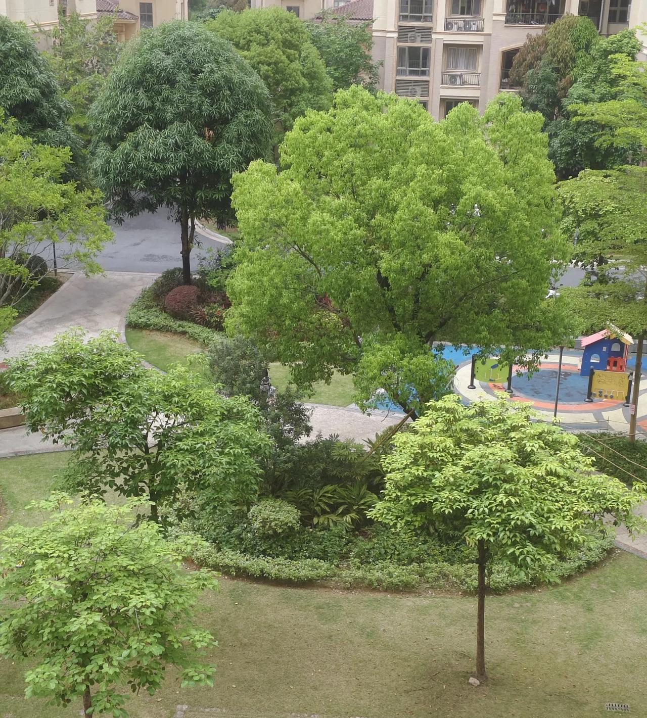 在小区里认识一个保姆阿姨，她跟我闲聊说她和老公从30岁时就在城里打工如今有20年