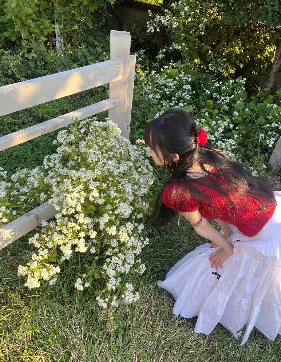 Irene😻裴珠泫我的生命是一万次春和景明​​​
