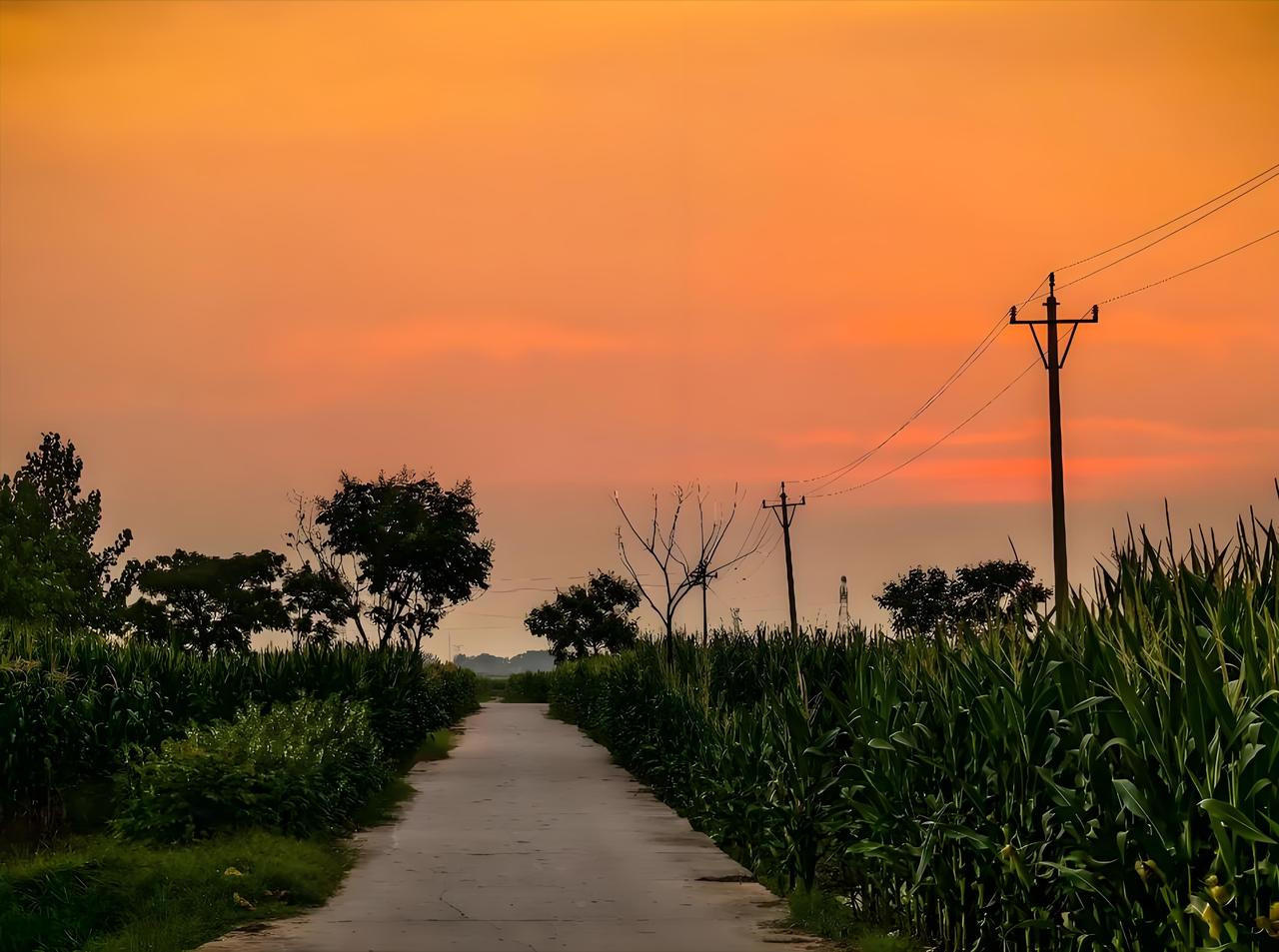 父母葬礼，成了农村年轻人和老家的最后终点老家隔壁村的一件事，让我看清了农村最