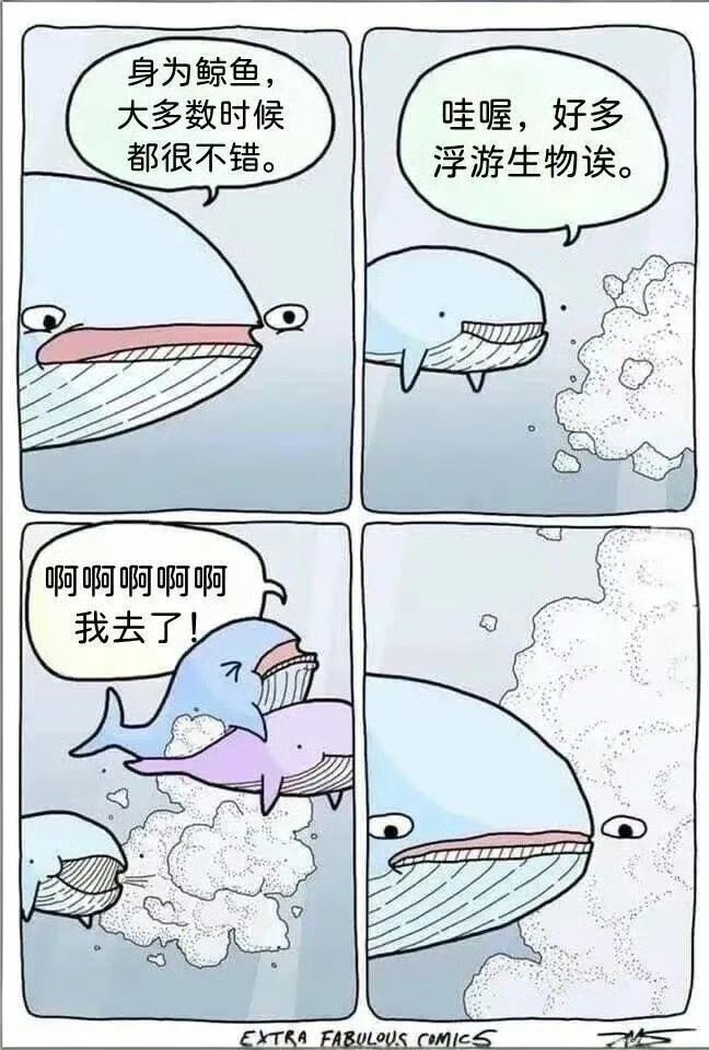 。。。。。
