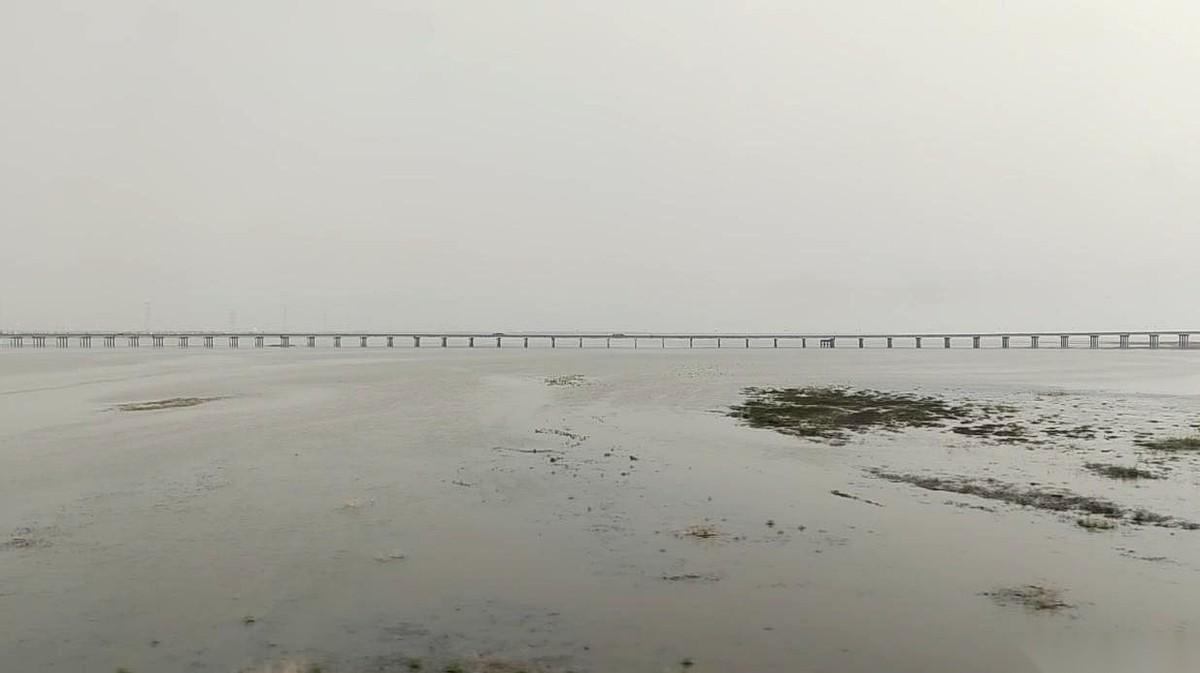 聊聊鄱阳湖。去年还是一片能开越野车的龟裂湖底，今年，水域面积直接干到了去年同期