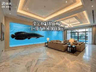 豪宅鱼缸天花板！[哭哭]