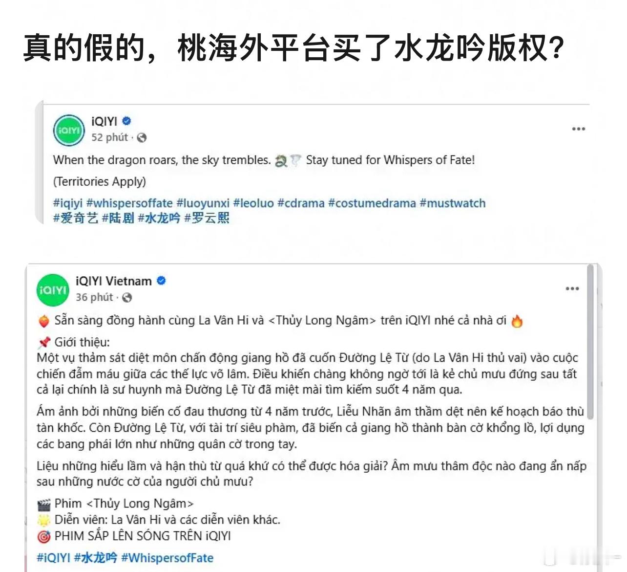 爱奇艺挺有头脑的，水龙吟如果播的好，第一个吃红利的就是魅影神捕​​​