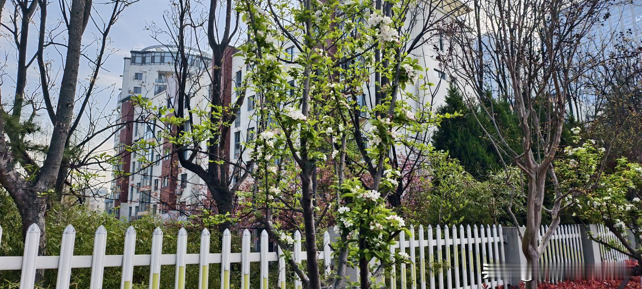 “给你个主管当当。”工资涨500，锅重了50斤。这种假领导，谁爱当谁当前同事