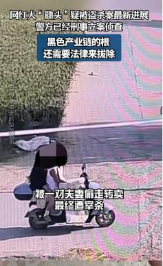 悲剧还是发生了！6月7日，网红狗被盗杀刑事立案，一条养了八年的边牧被塞进电动车挡