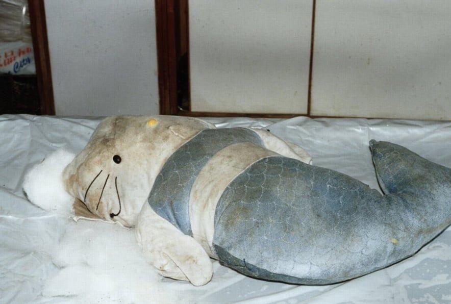 1999年5月，香港警方在一个HelloKitty美人鱼玩偶内发现了一颗被砍下