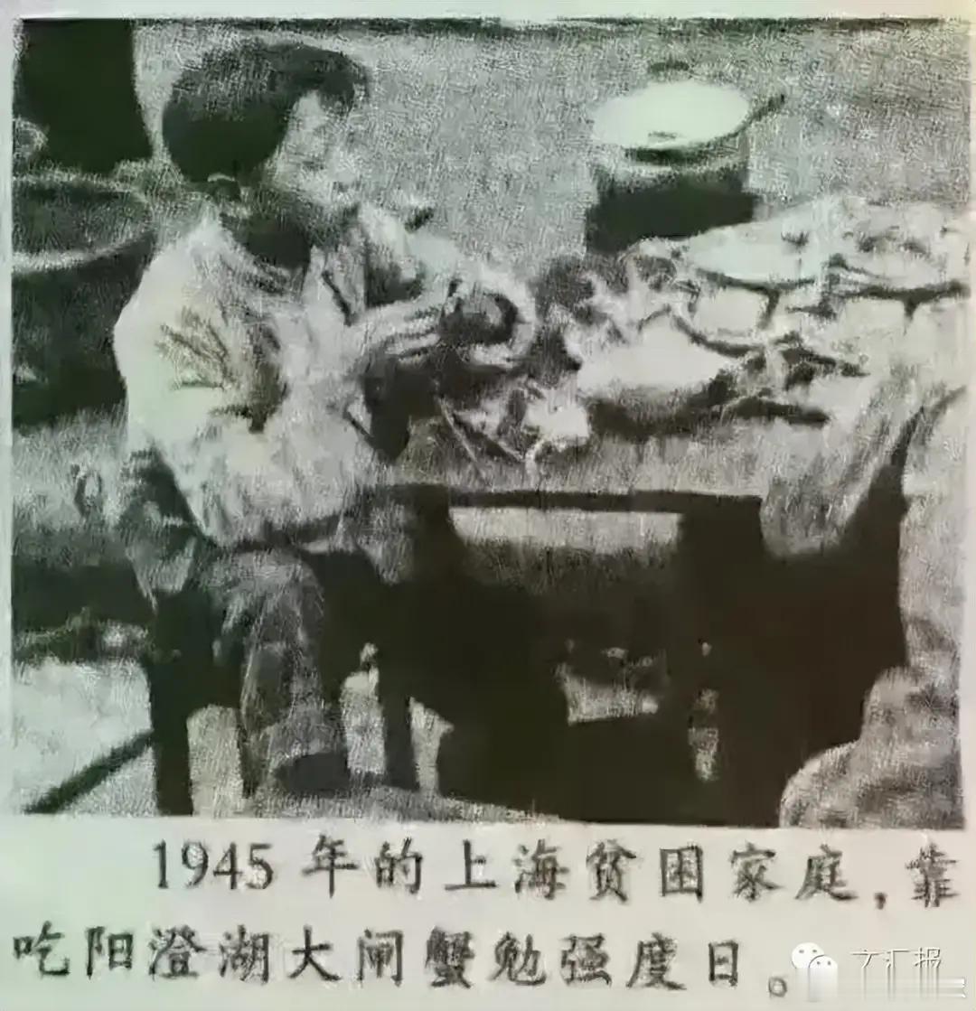 大闸蟹全线崩盘1938年10月25日的《申报》上报道，82年前阳澄湖的螃蟹一担只要六、七十元，也就是