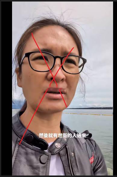 世卫大会第十年拒绝涉台提案好，本来湾湾的目标也不是真正去参会卫生大会图3起