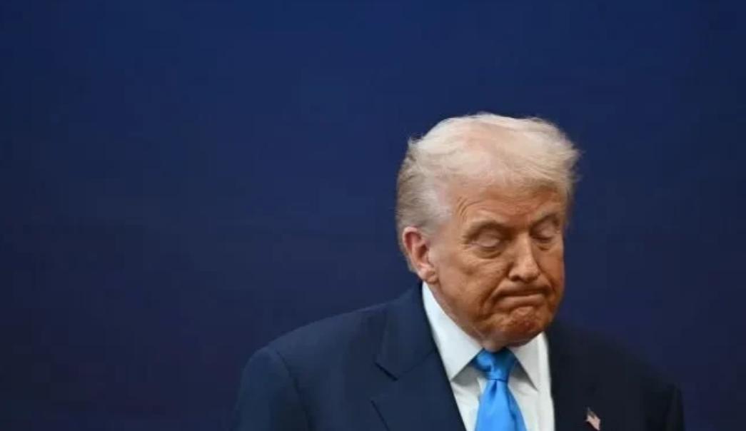 特朗普称，那些从中国“成千上万地购买”风力发电机的欧洲人是“傻瓜”。特朗普最