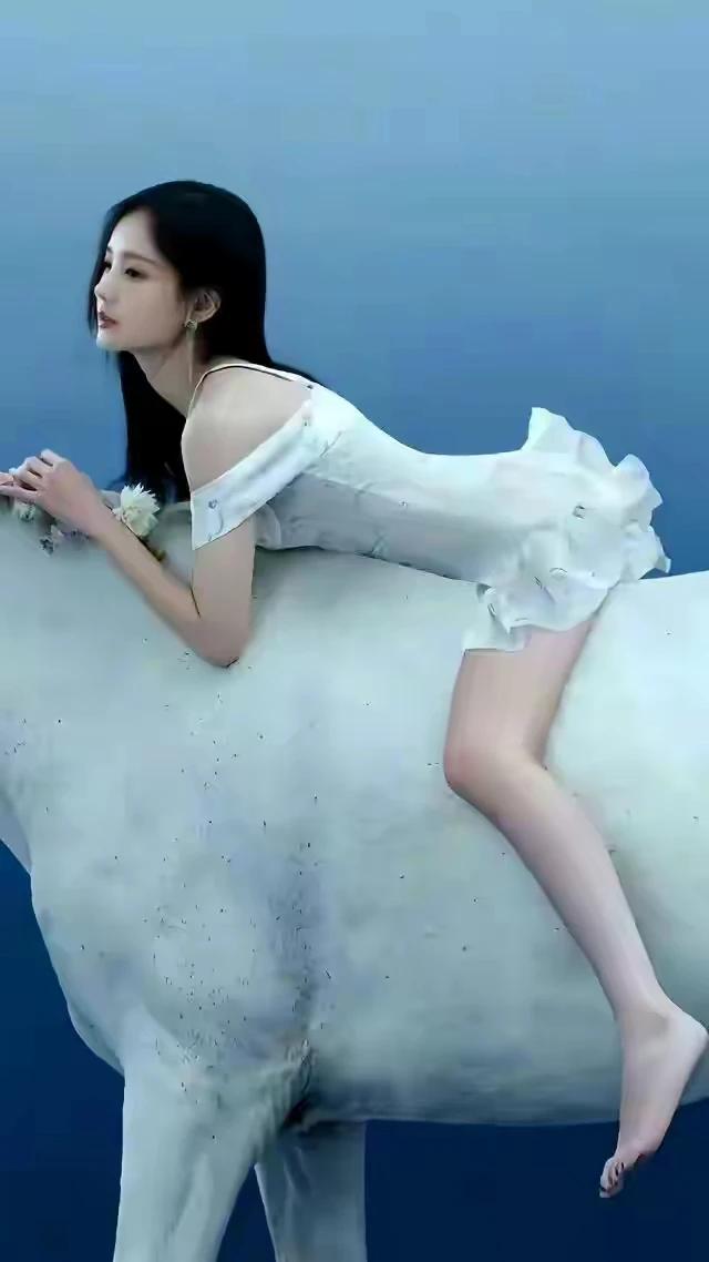 李一桐写真照……不要太美了……