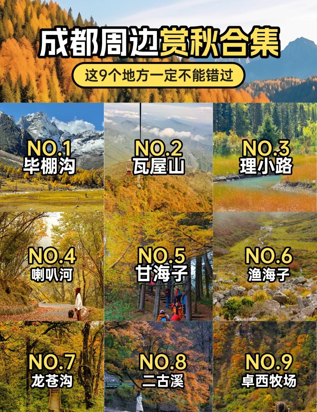 成都赏秋不踩雷🍂9个徒步赏秋地码住！宝子们！成都周边秋景已爆美，想赏秋又怕独