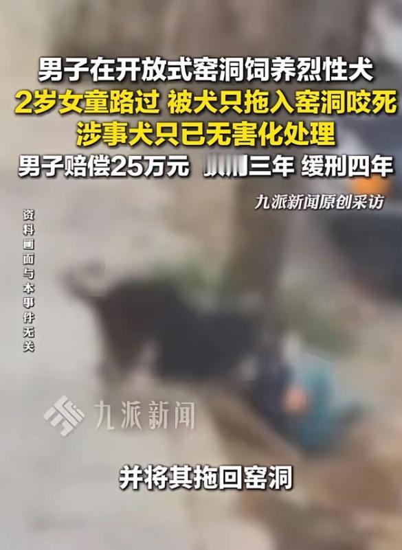84岁的李某某回家时看到狗拖回一女童，发现女童脸部已血肉模糊时，只找来一块布盖
