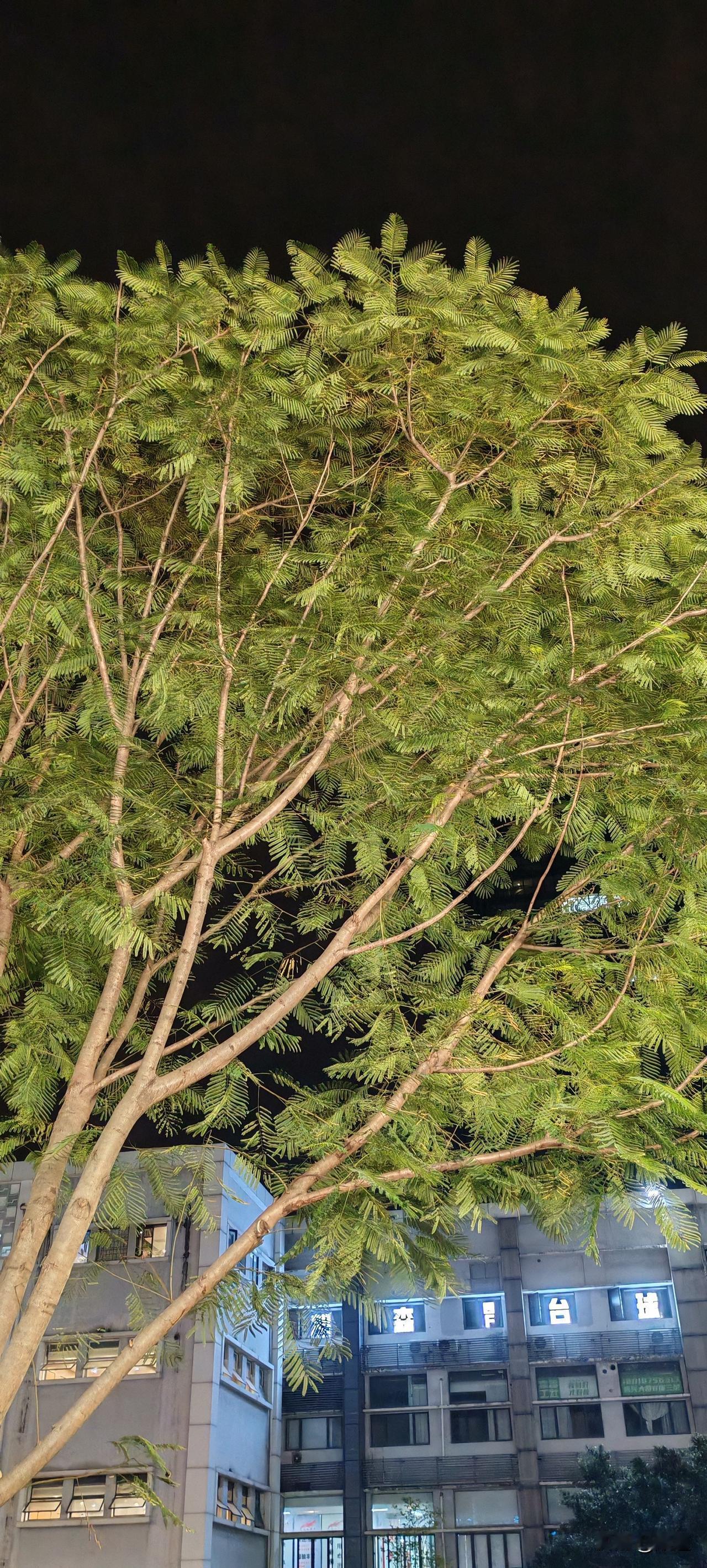 葫芦岛老大姐62了，和二婚老头儿认识五年结婚两年了，因为她要3万5的彩礼，老头说