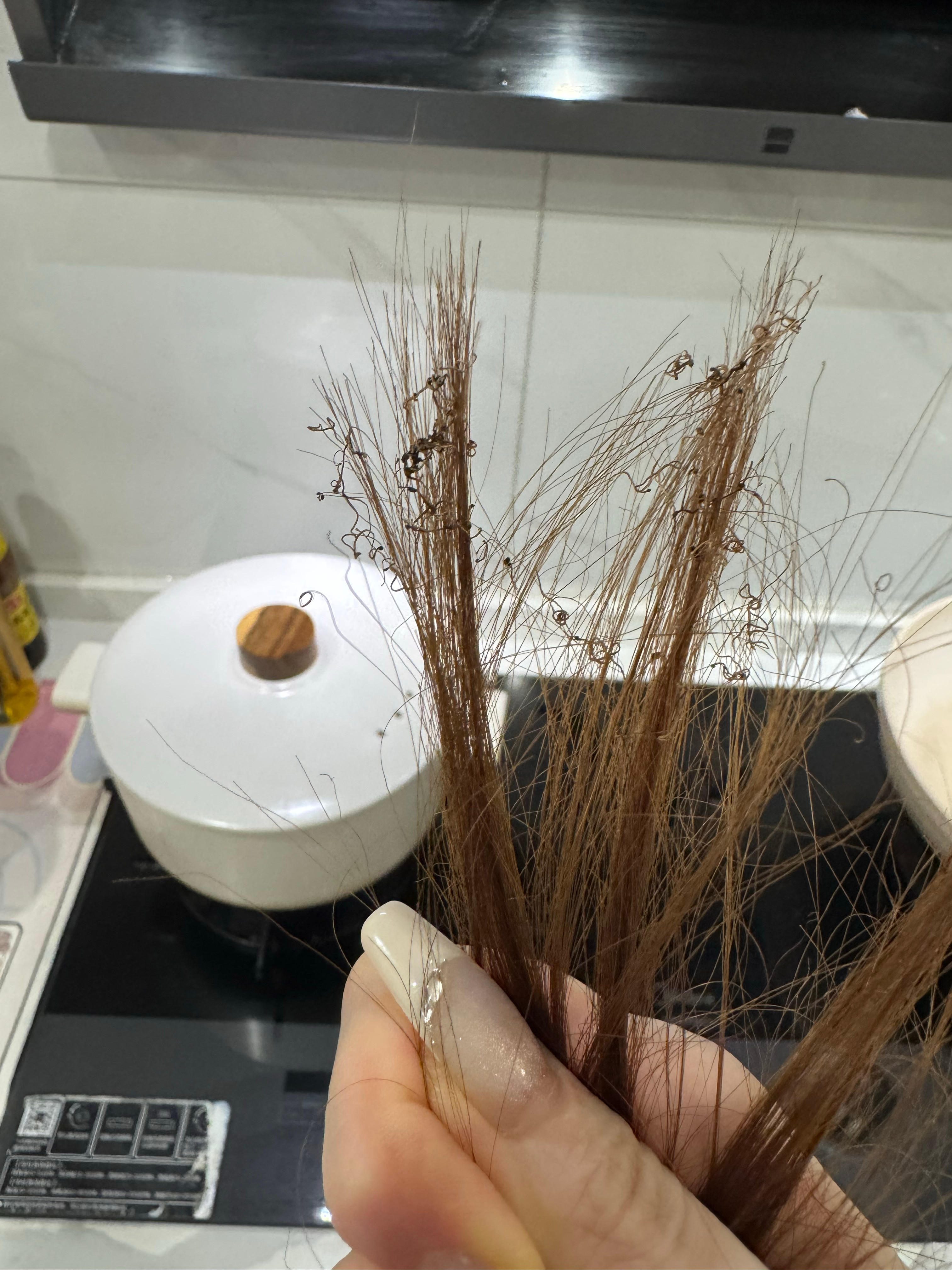 我男朋友克我！真的克我！我搁那坐着好好的他非让我闻他炖的老妈蹄花汤！香不香！我说