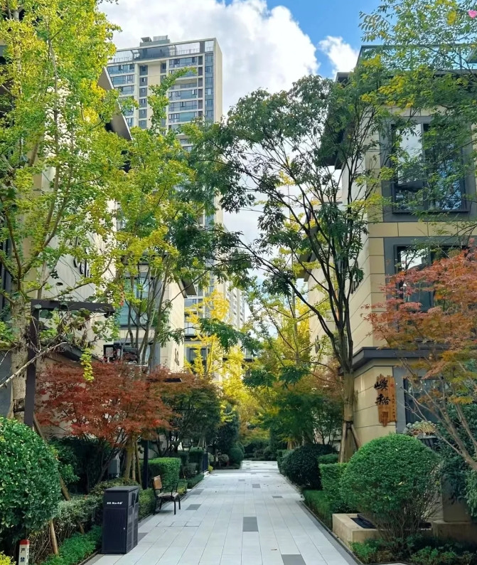 姐夫去世后，260平的大房子我姐一人住着太空荡，就想换个90平的，刚挂中介，婆婆