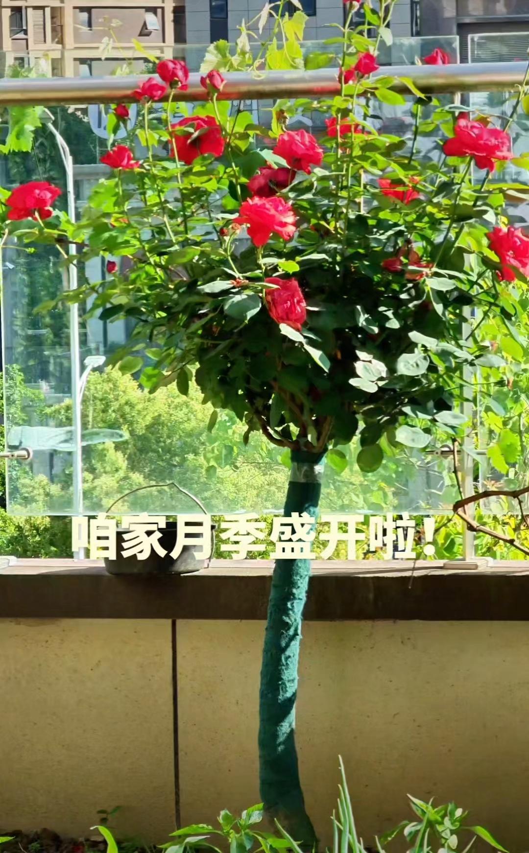人到中年才懂得：真正靠谱的，绝不是人脉和朋友……人到中年，阅尽世事浮沉，