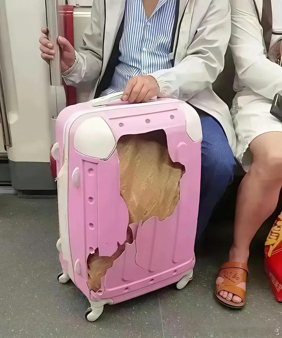 还以为是破箱子呢！原来是我看走眼了！