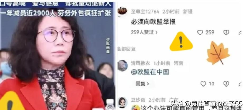 劳动局今天应该很尴尬，因为应届生们把自己的材料直接递给了宝马、奔驰和大众。彻底打
