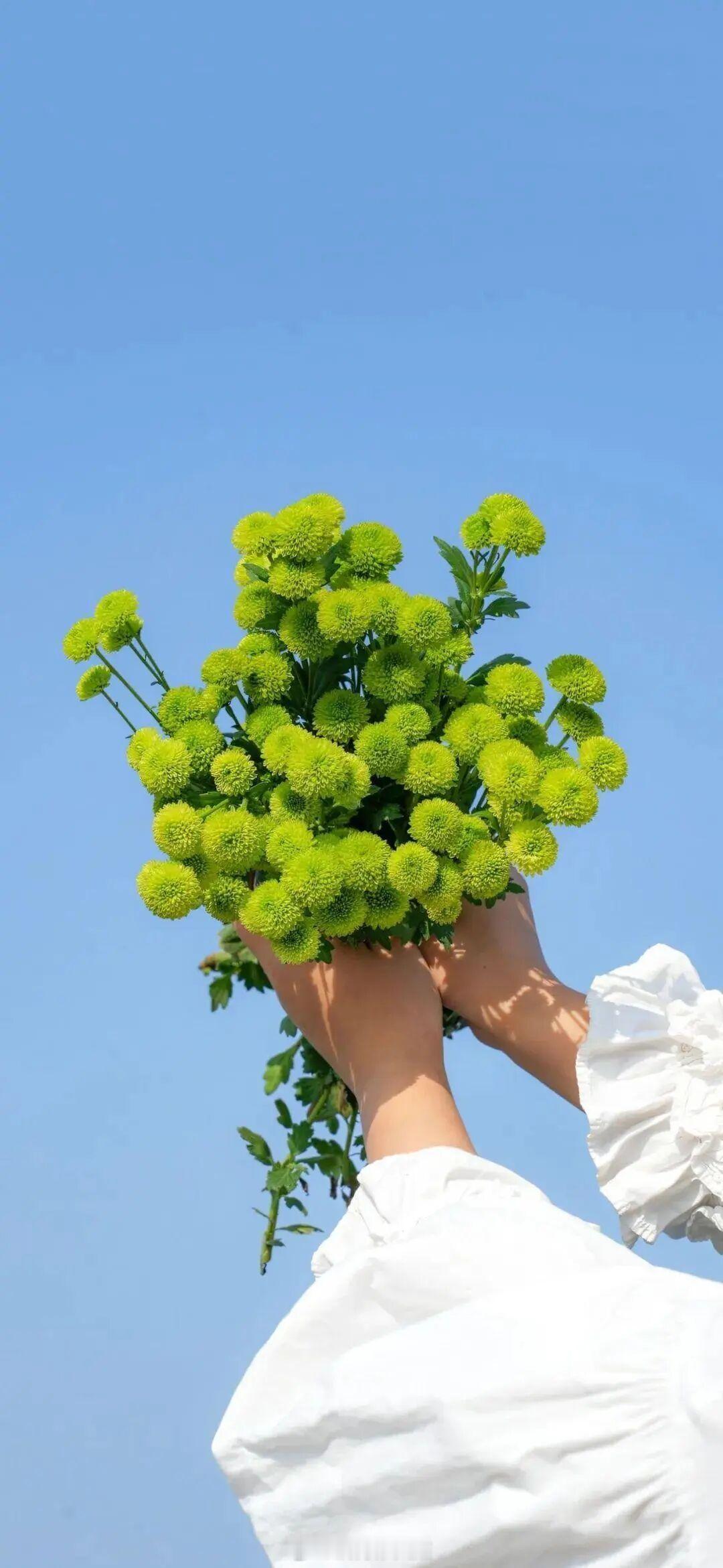 世界小得像一条街的布景，我们相遇了，你点点头，省略了所有的往事，省略了问候。——