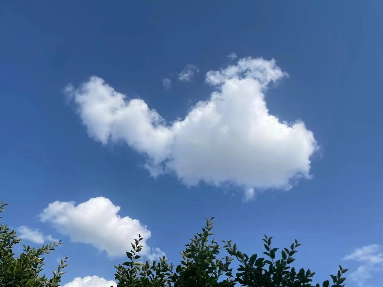 初夏的早晨入夏天气多变化，少雨多风多尘沙清晨空气还算好，微风凉凉外衣加渐