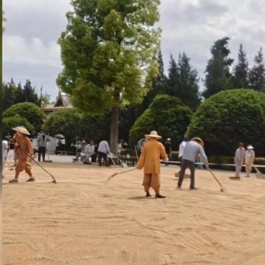 白马寺回应僧人顶着33度气温收麦子洛阳气温升至33℃，白马寺僧众在殿前广场收割、