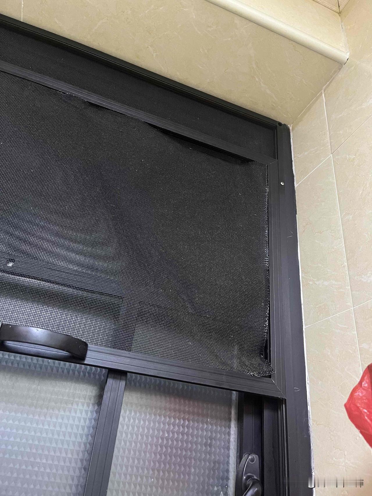 剪破纱窗的小偷☠️之前的纱窗都是好的，今天发现纱窗都被剪破，外面的通道对面邻居