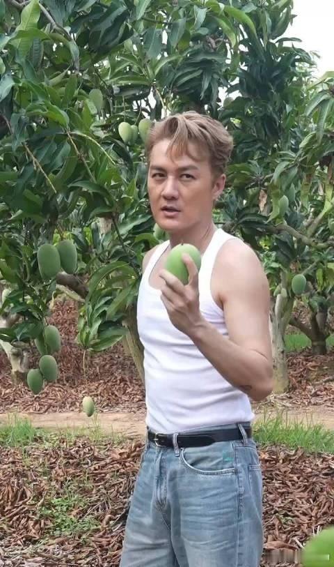 吴克群真是最理智的人，当年和何超莲都见过家长，仍然不婚，现在选择了自己想要的生活