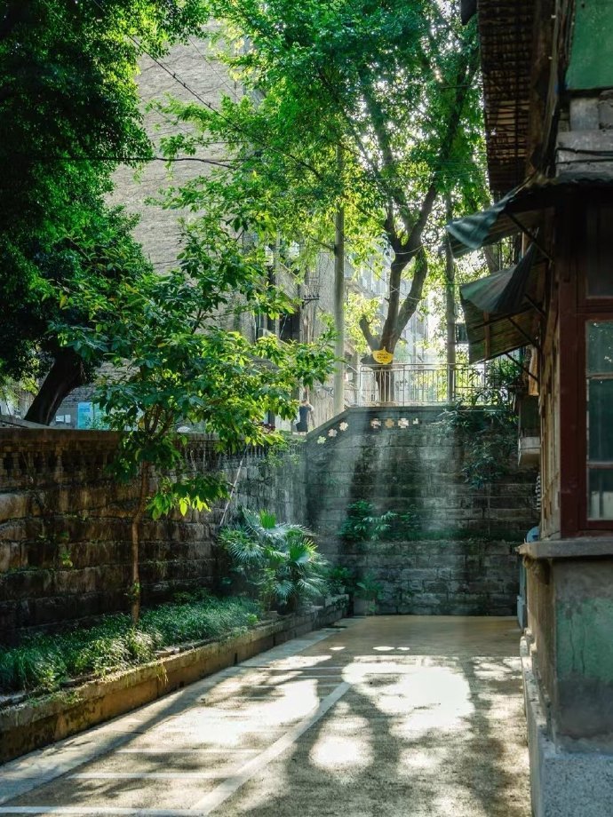 巷子里的光，有了夏天的味道​​​