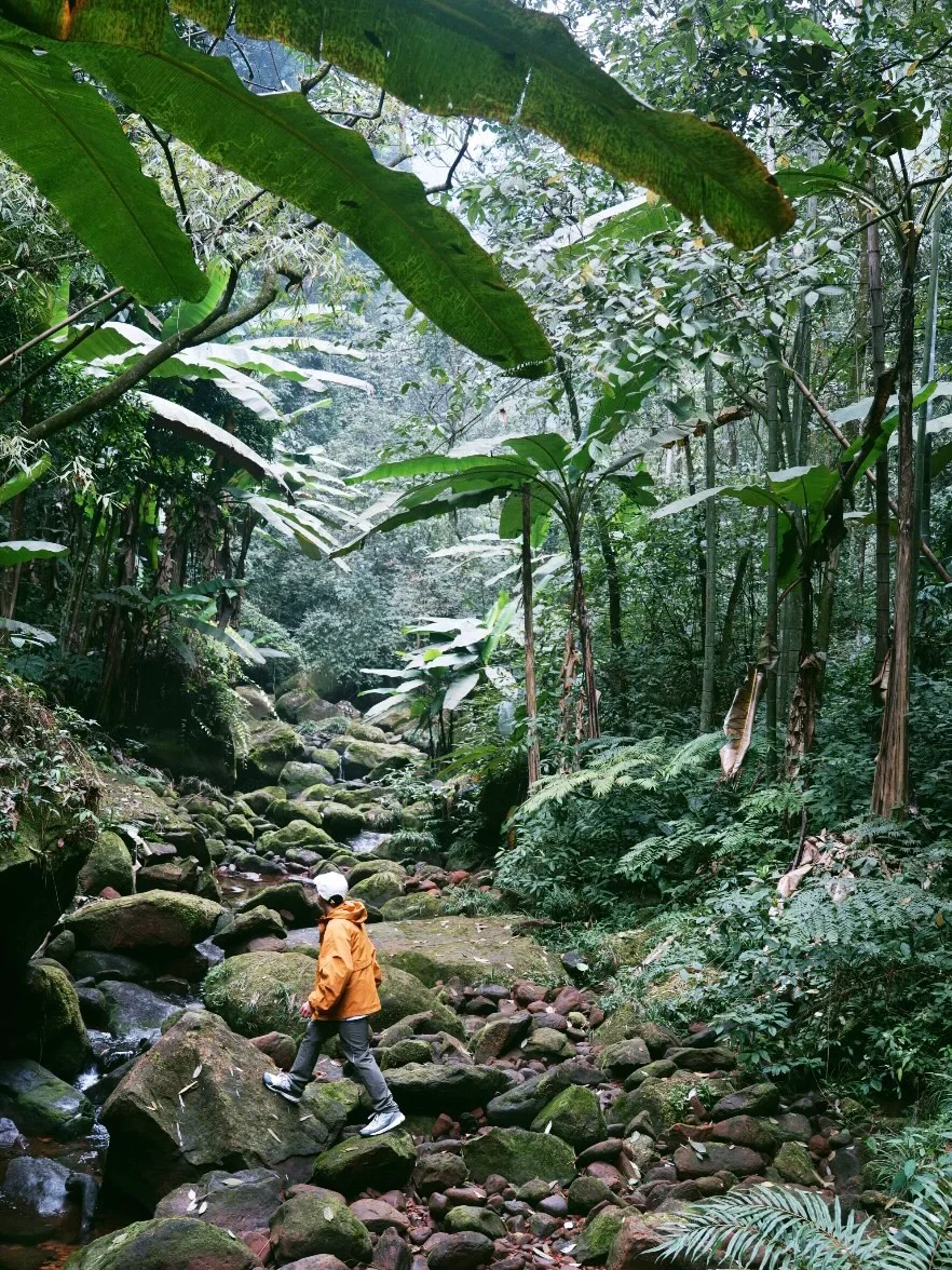 《国家地理》没骗我！真的是被低估的宝藏小城