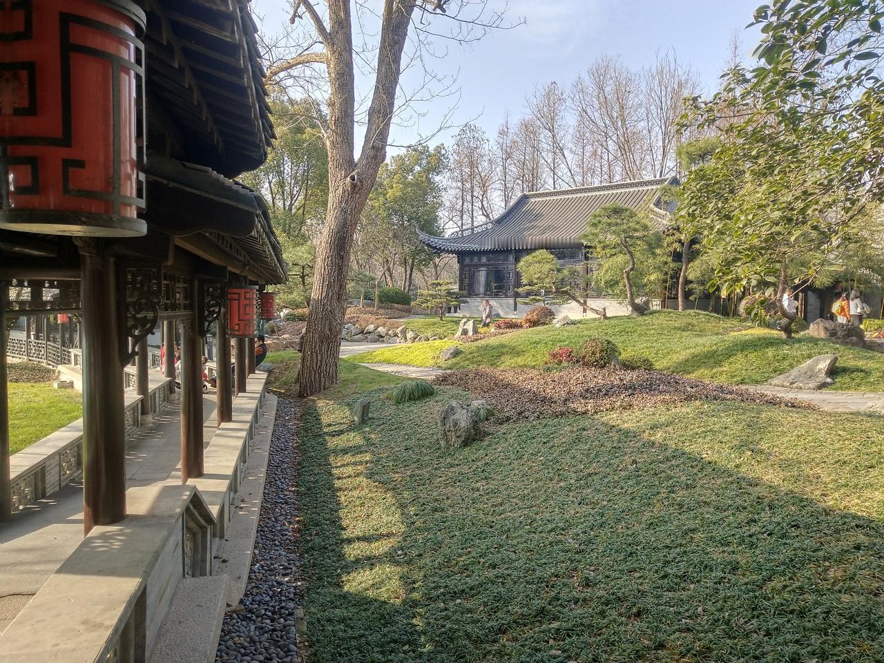 儿子为了省飞机票，大年初一从国外飞回来。老公问儿子，人家都是年30到家，你怎