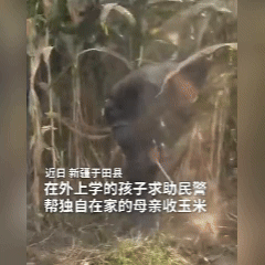 人民日报怒赞!一名学生在公安局视频号下求助,因为家里只有妈妈一个人,有3亩地,能