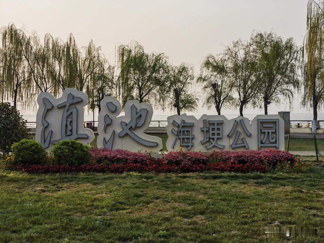 清晨沿着滇池湖边散步，远远的看着美丽的风景，山与湖的光影，近距离观看海鸥，看着它