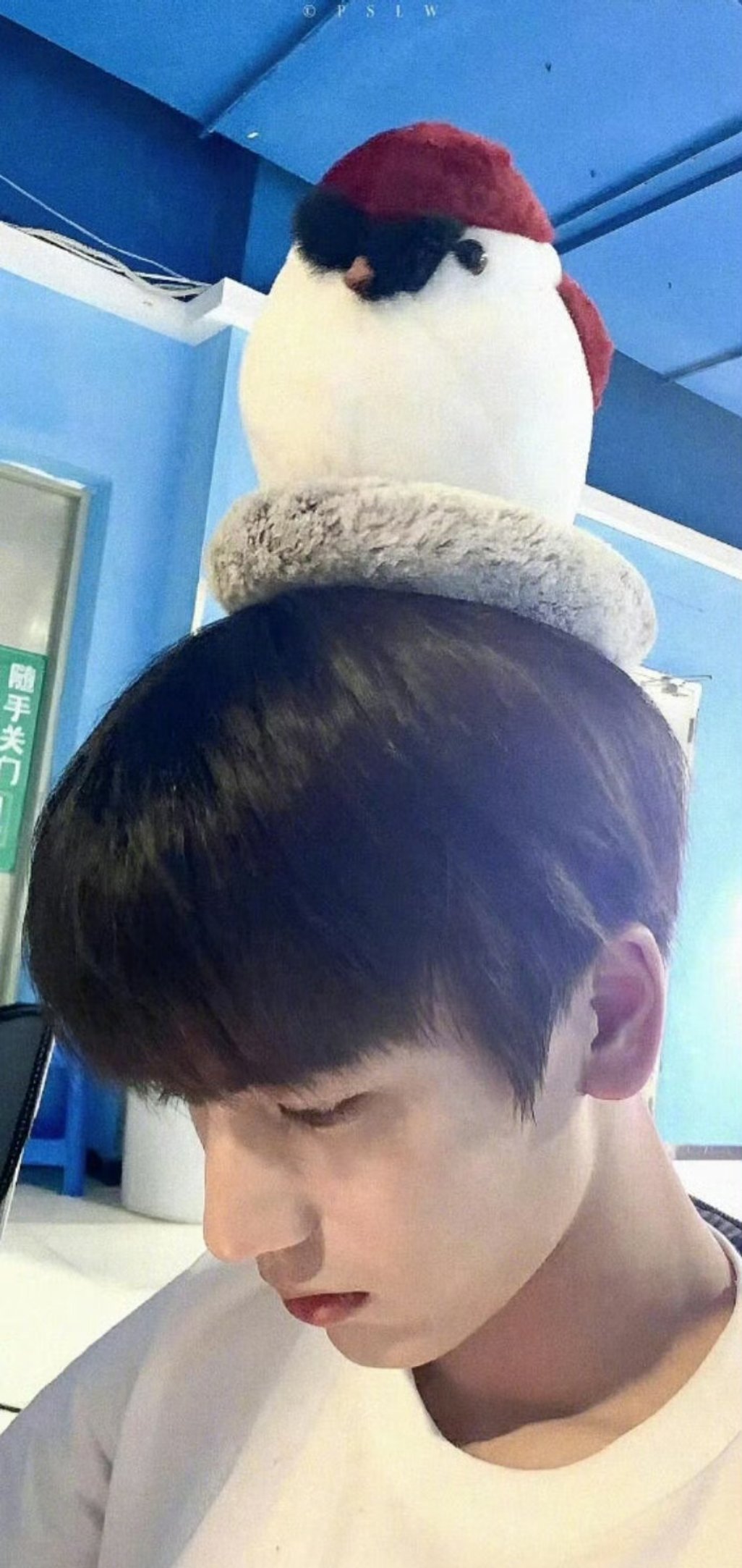 我当年面过张凌赫这是什么幸福的经历[捂