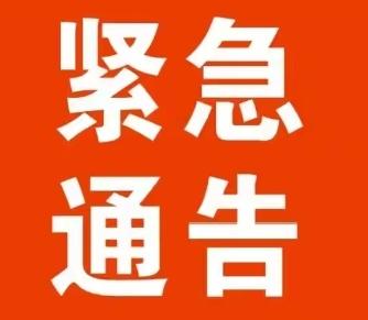 过这个没有鞭炮声的年，不知道会不会让咱茂名市民有点小失落的呢？这可真是回不回来