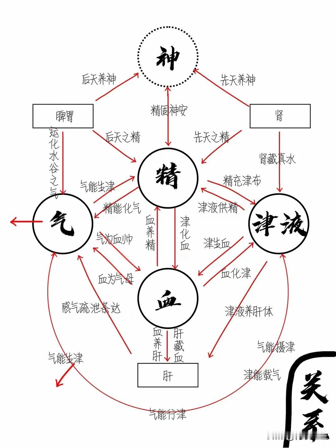 精气神是人之根本，修行之基础。