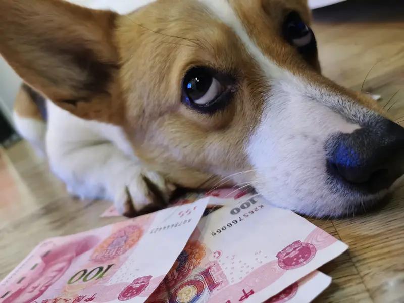 当老师久了，真的会“病”得不轻。细数教师圈心照不宣的几大“职业病”，看看你中了几
