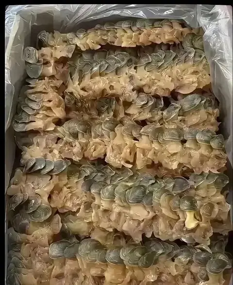 这一箱比黄金都难得啊！