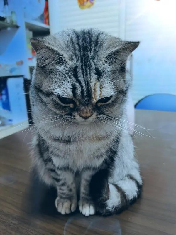 人到中年，才懂沉默是最深的委屈不知道从什么时候开始，我们渐渐学会了把情绪藏