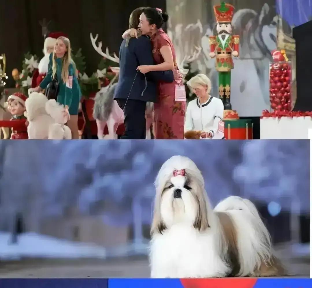 霍思燕给狗梳毛，一把梳子五百块，防晒喷雾三百多，梳一下换一把工具，还轻声哄“别伤