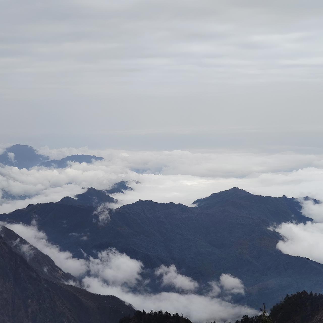 不管信不信玄学，你会发现:开车的时候，在两条道上并肩前行的两辆车的主人，家里