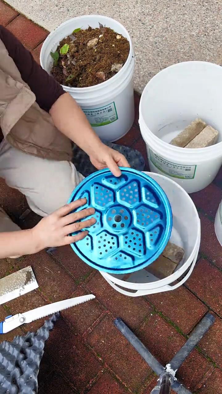 朋友们，今天来种甘蔗，用桶来种。你们种过没有？我去年种了两桶，很甜，所以今年多种
