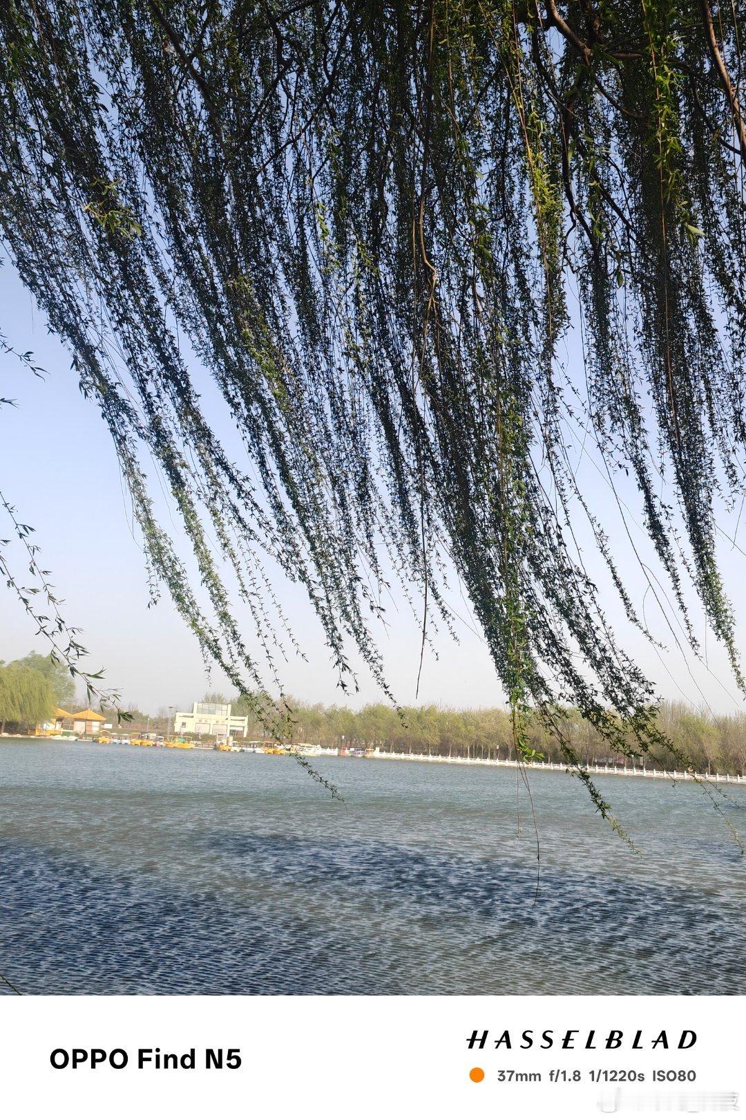 五一航班大面积取消陪家人转转附近景点也挺好，今年挣钱不容易啊！