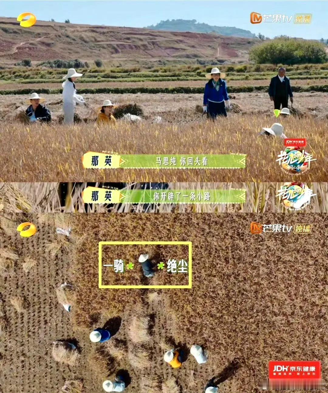 花少7里马思纯闷头割稻的样子，比说十句漂亮话都动人。众人一起下田，回头时她早扎在