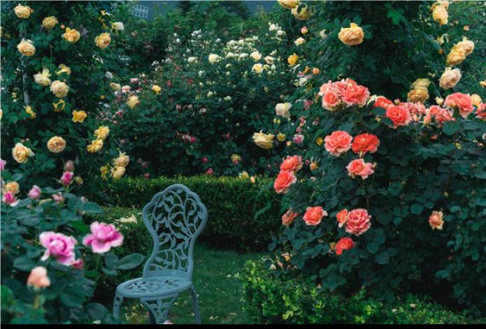 人生有四次改命的机会！第一次：是生来便手握金钥匙，降落在家境优渥、氛围和睦的家