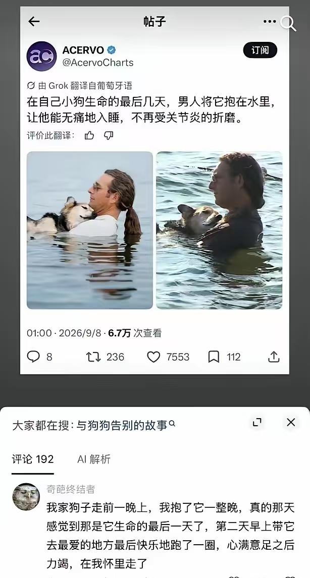 狗狗走的时候，你在身边吗？