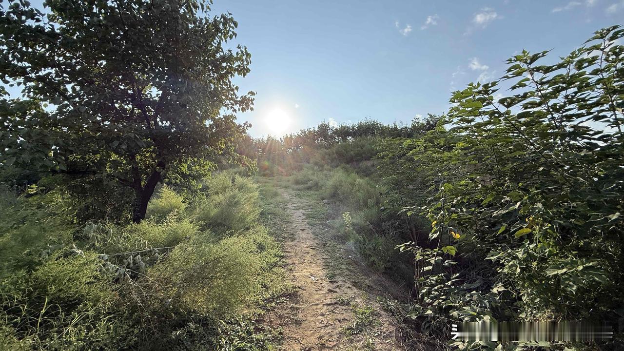 石佛寺坐落于泾阳县太平镇太平堡村，登临远眺，泾河奔涌于土崖之下，一株千年古槐静静