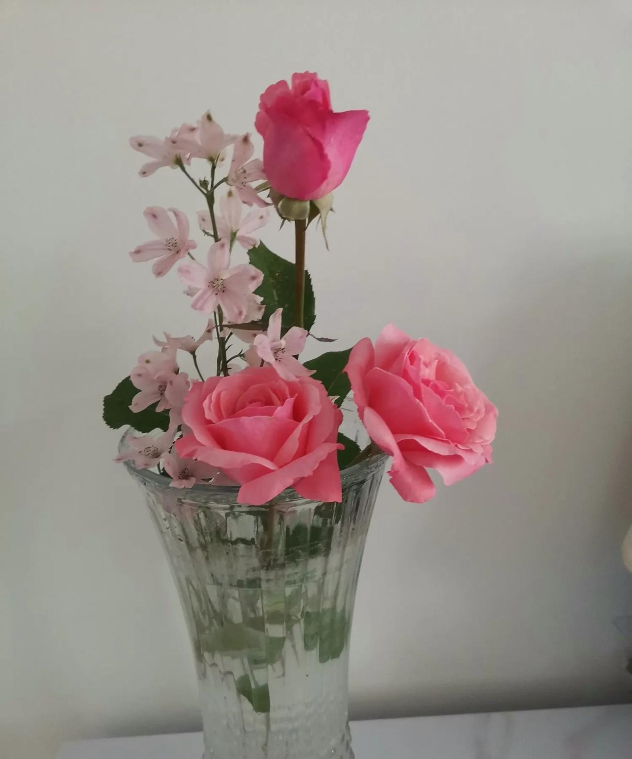 大姑姐得了焦虑症，我看得出来，他身心都在受折磨他总是想哭，坐不住，经常要上外边