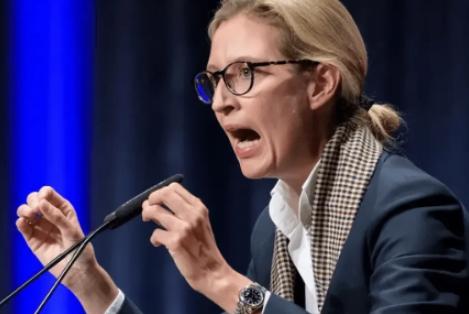 太罕见了，德国极右跟极左联合起来了，他们现在只有一个需求，就是让德国暂停对乌克兰