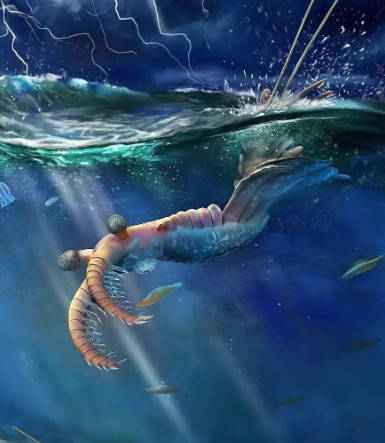 【看起来就好吃但你吃不到了…】软躯体动物，就是指身体没有坚硬内骨骼或外骨骼支撑，